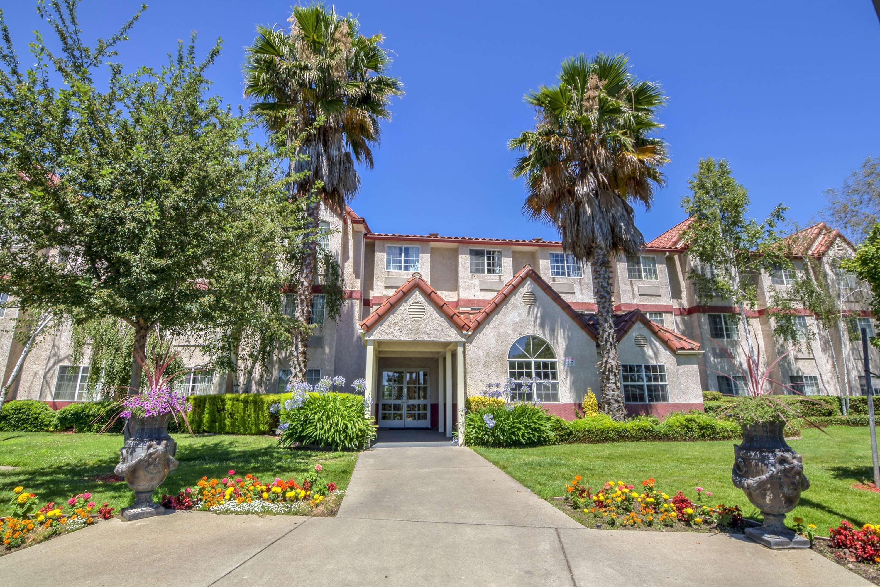 Best Western Plus Palm Court Hotel Davis Kültér fotó